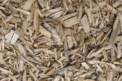 biomass boilers Llanfilo